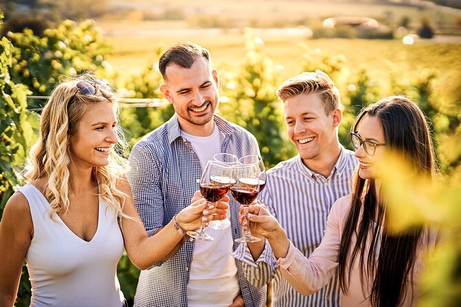 Wines and Views Private Wine Tour of Otago from Queenstown - Queenstown pickup and a 5.5-hour plan that doesn’t waste your day