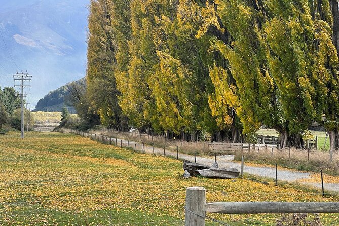 Wines and Views Private Wine Tour of Otago from Queenstown - Vineyard lunch in Cromwell wine country: where the day turns from tasting to tasting food