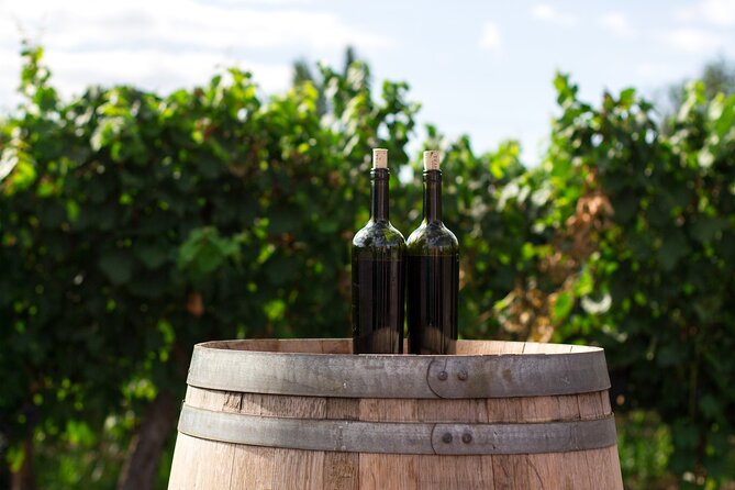 Wines and Views Private Wine Tour of Otago from Queenstown - Price and value: is $1,189.13 per person worth it?